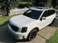 Glacial White Pearl 2023 Kia Telluride SX-P X-Line AWD Exterior