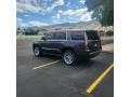 Dark Granite Metallic 2017 Cadillac Escalade Platinum 4WD Exterior