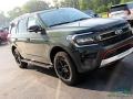 Forged Green Metallic - Expedition Timberline 4x4 Photo No. 24