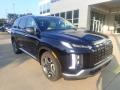 2024 Abyss Black Pearl Hyundai Palisade Limited AWD  photo #8