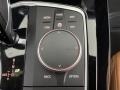 2024 BMW X3 Cognac Interior Controls Photo