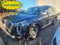 Rainforest 2021 Hyundai Palisade SEL AWD