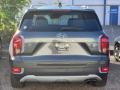 2021 Rainforest Hyundai Palisade SEL AWD  photo #4