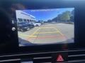 Ecotronic Gray - Elantra SEL Photo No. 20