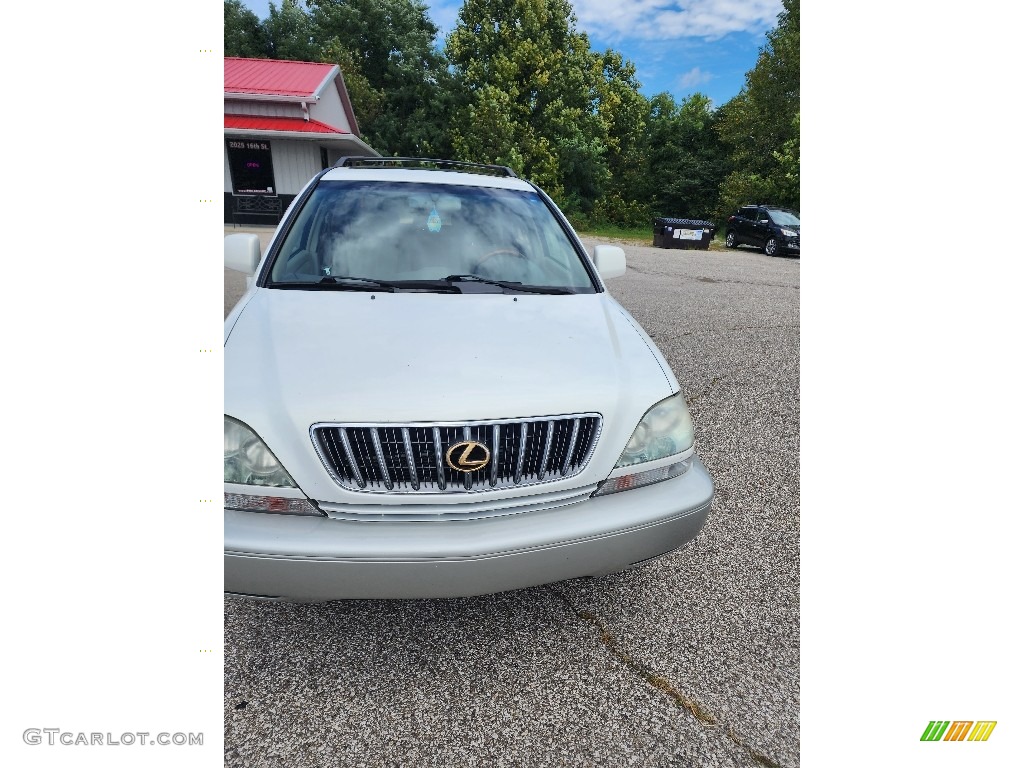 2002 RX 300 AWD - White Gold Crystal / Ivory photo #7