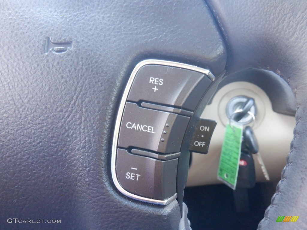 2009 Sonata Limited - Natural Khaki Green / Camel photo #23