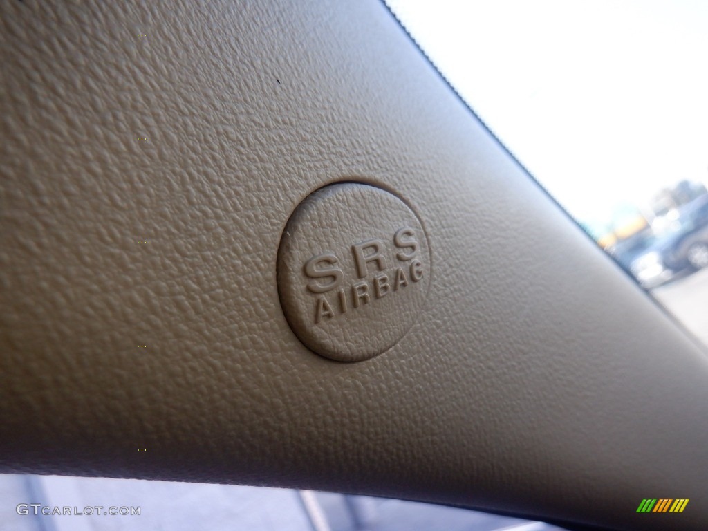 2009 Sonata Limited - Natural Khaki Green / Camel photo #24