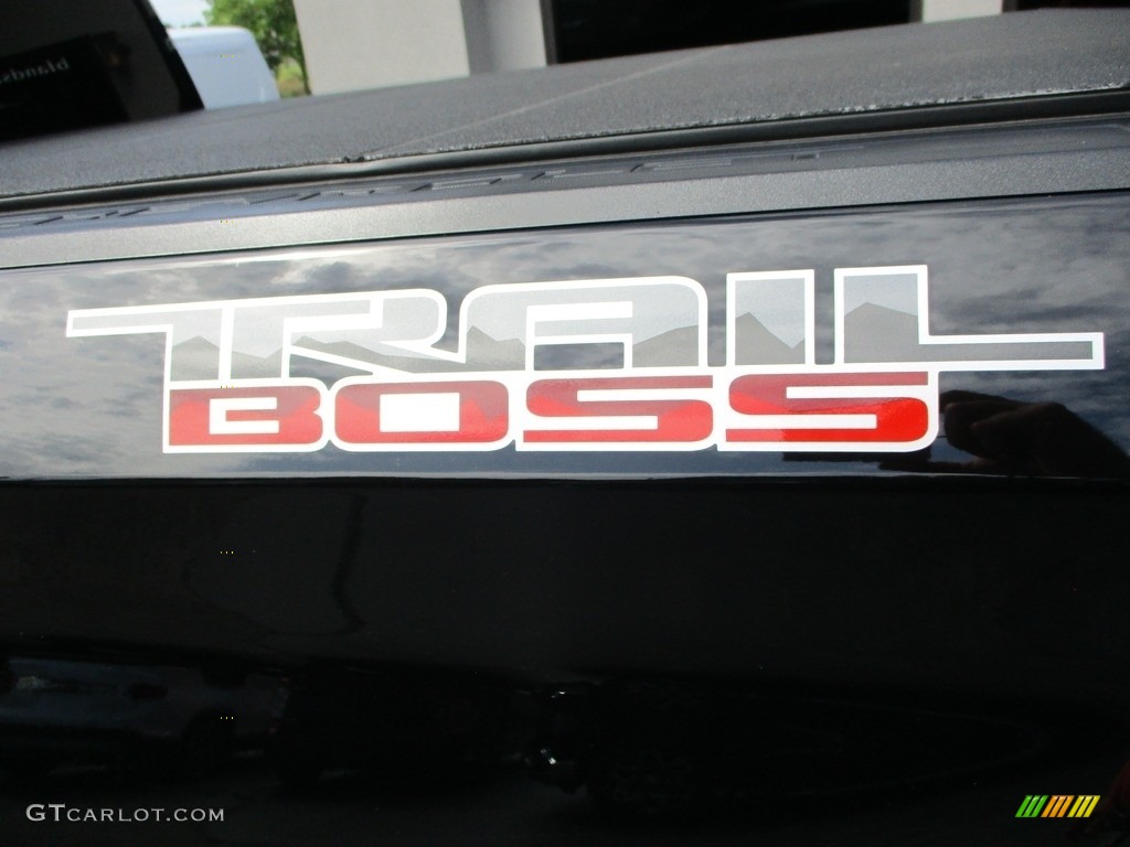 2020 Chevrolet Silverado 1500 Custom Trail Boss Crew Cab 4x4 Marks and Logos Photos