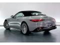 Alpine Gray - SL AMG 43 Roadster Photo No. 2