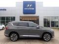 2023 Hampton Gray Hyundai Santa Fe Calligraphy AWD  photo #1