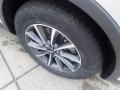 Ceramic Pearl Metallic - Nautilus Standard AWD Photo No. 10