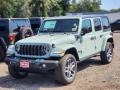 Earl - Wrangler 4-Door Sport S 4xe Hybrid Photo No. 1
