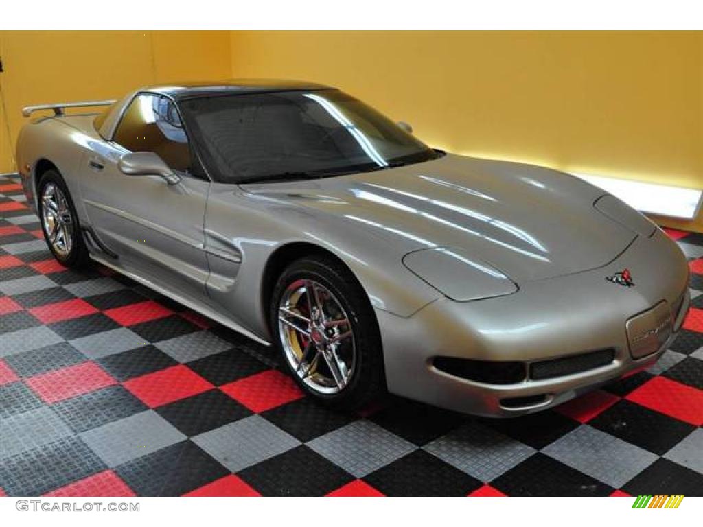 2002 Corvette Coupe - Light Pewter Metallic / Black photo #1