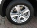 Titanium Silver Metallic - X5 4.8i Photo No. 6
