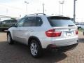 Titanium Silver Metallic - X5 4.8i Photo No. 8