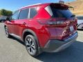 Scarlet Ember Tintcoat - Rogue SV Photo No. 4