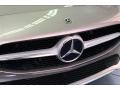 2020 Mojave Silver Metallic Mercedes-Benz CLA 250 Coupe  photo #30