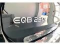 Cosmos Black Metallic - EQB 250 Photo No. 30