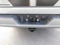 2024 Sterling Gray Metallic Chevrolet Silverado 1500 RST Crew Cab 4x4  photo #14