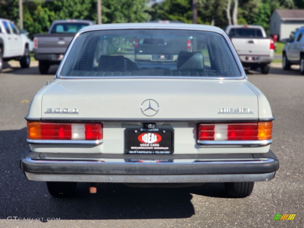 1980 E Class 300 D Sedan - Pastel Gray / Black photo #4