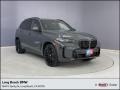 Dravit Gray Metallic 2024 BMW X5 xDrive40i