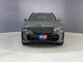 Dravit Gray Metallic - X5 xDrive40i Photo No. 2