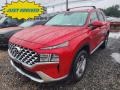 2022 Calypso Red Hyundai Santa Fe SEL AWD  photo #1