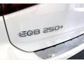 2023 Polar White Mercedes-Benz EQB 250  photo #30