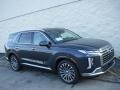 2024 Steel Graphite Hyundai Palisade Calligraphy AWD  photo #1