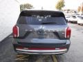 Steel Graphite - Palisade Calligraphy AWD Photo No. 7