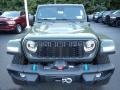 Sarge Green - Wrangler 4-Door Rubicon X 4xe Hybrid Photo No. 9
