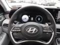 Gray/Black Steering Wheel Photo for 2024 Hyundai Palisade #146572346