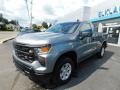 2024 Sterling Gray Metallic Chevrolet Silverado 1500 WT Regular Cab 4x4  photo #2