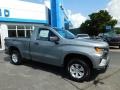 2024 Sterling Gray Metallic Chevrolet Silverado 1500 WT Regular Cab 4x4  photo #5