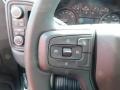 2024 Sterling Gray Metallic Chevrolet Silverado 1500 WT Regular Cab 4x4  photo #23