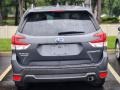 Magnetite Gray Metallic - Forester 2.5i Limited Photo No. 4