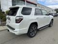 Blizzard Pearl - 4Runner Limited 4x4 Photo No. 9