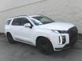  2024 Palisade Calligraphy Night Edition AWD Hyper White