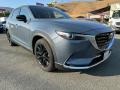 2022 Polymetal Gray Metallic Mazda CX-9 Carbon Edition AWD  photo #1