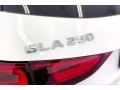 Polar White - GLA 250 Photo No. 30