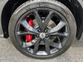  2024 Hornet R/T Track Pack/Blacktop AWD Hybrid Wheel