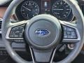 Java Brown 2024 Subaru Outback Touring Steering Wheel