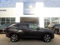 Portofino Gray - Tucson Limited AWD Photo No. 1