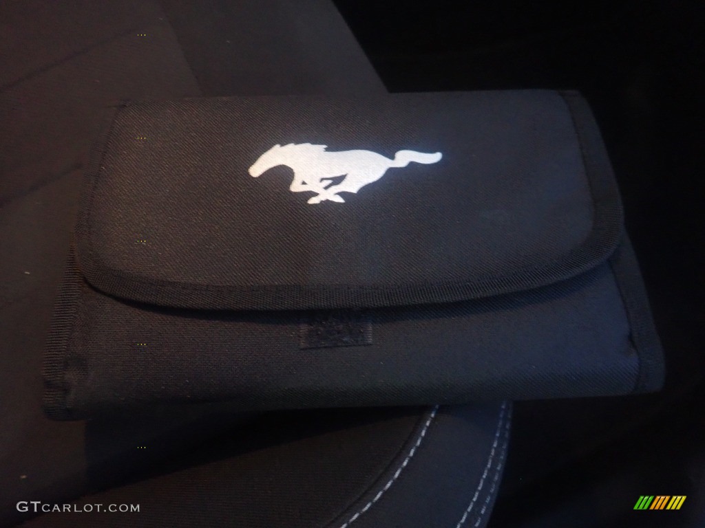 2019 Mustang GT Fastback - Oxford White / Ebony photo #15