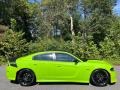 Sublime Metallic - Charger Scat Pack Daytona 392 Photo No. 5