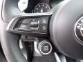 Black Steering Wheel Photo for 2020 Alfa Romeo Stelvio #146594440