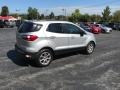 2020 Moondust Silver Metallic Ford EcoSport SE  photo #6