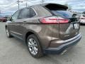 Stone Gray - Edge Titanium AWD Photo No. 4