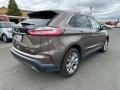 Stone Gray - Edge Titanium AWD Photo No. 6