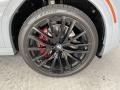 2024 BMW X6 xDrive40i Wheel and Tire Photo